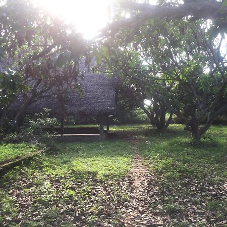 Art Forest Hotell Auroville Eksteriør bilde