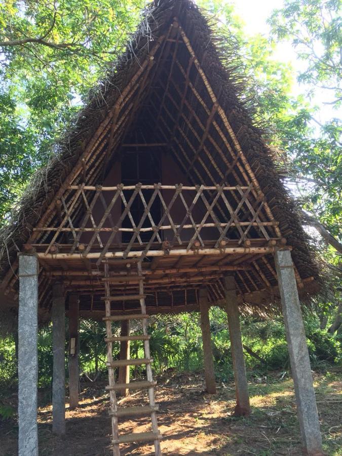 Art Forest Hotell Auroville Eksteriør bilde