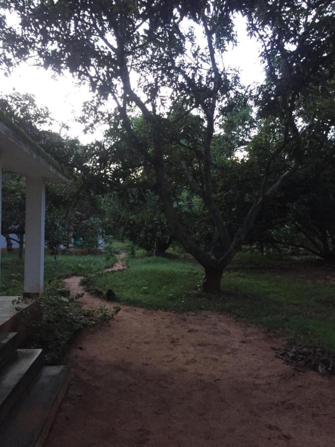 Art Forest Hotell Auroville Eksteriør bilde