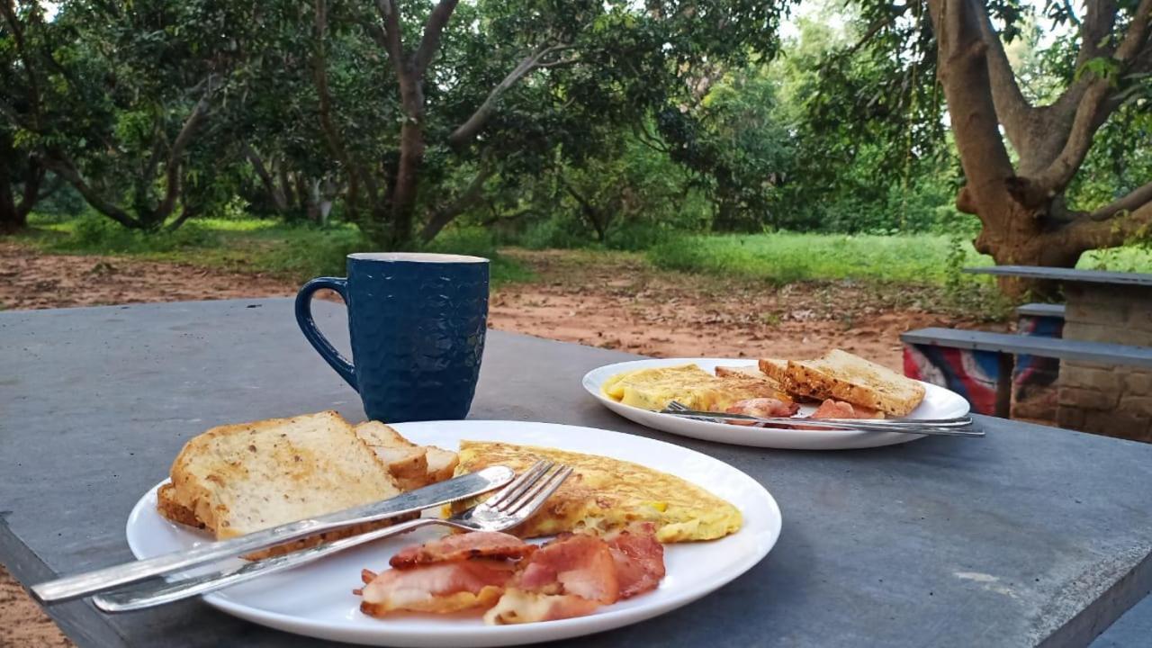 Art Forest Hotell Auroville Eksteriør bilde